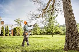 Reliable Belfair, WA  Tree Services Solutions